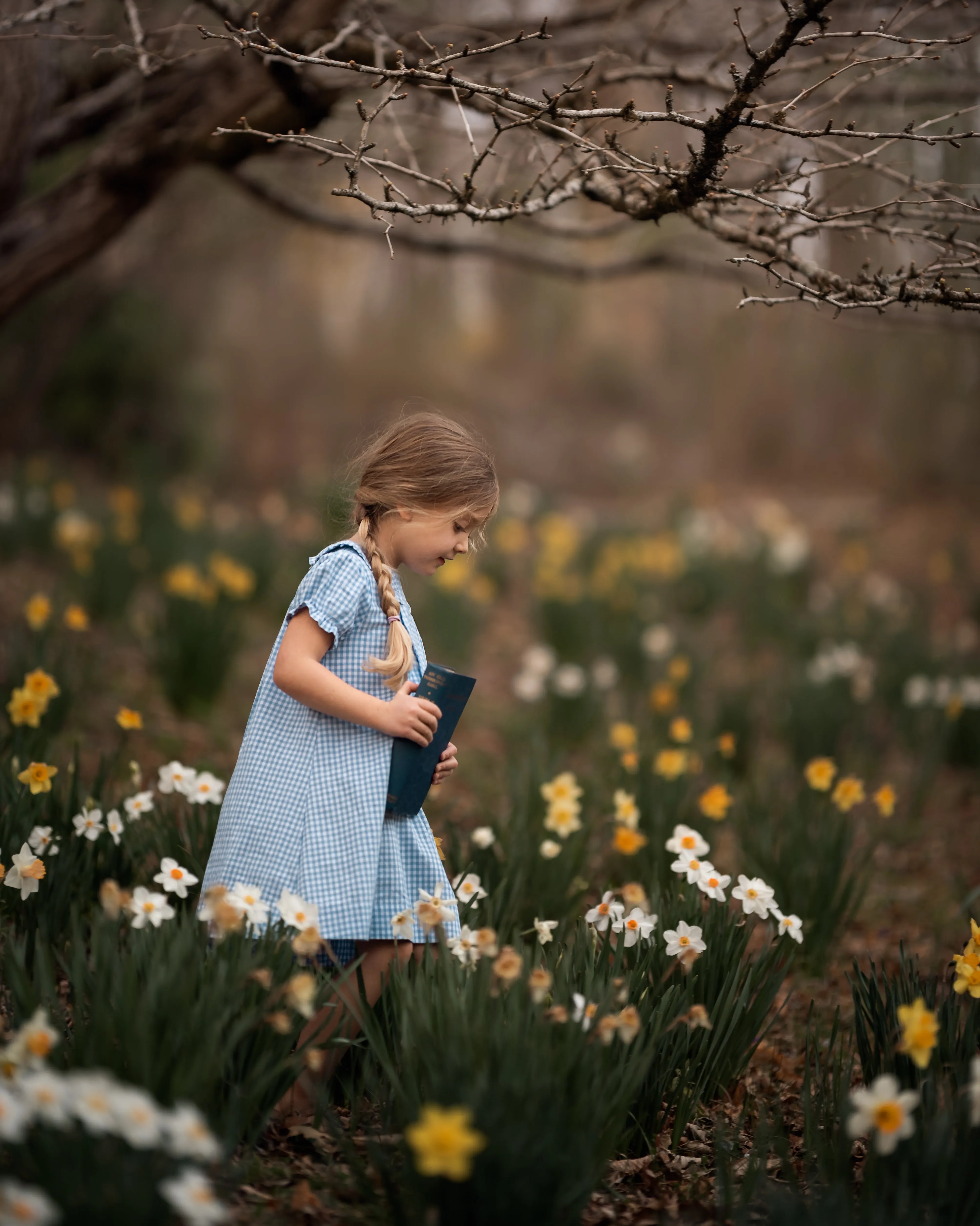 Bluebell Ruffle Collar Dress