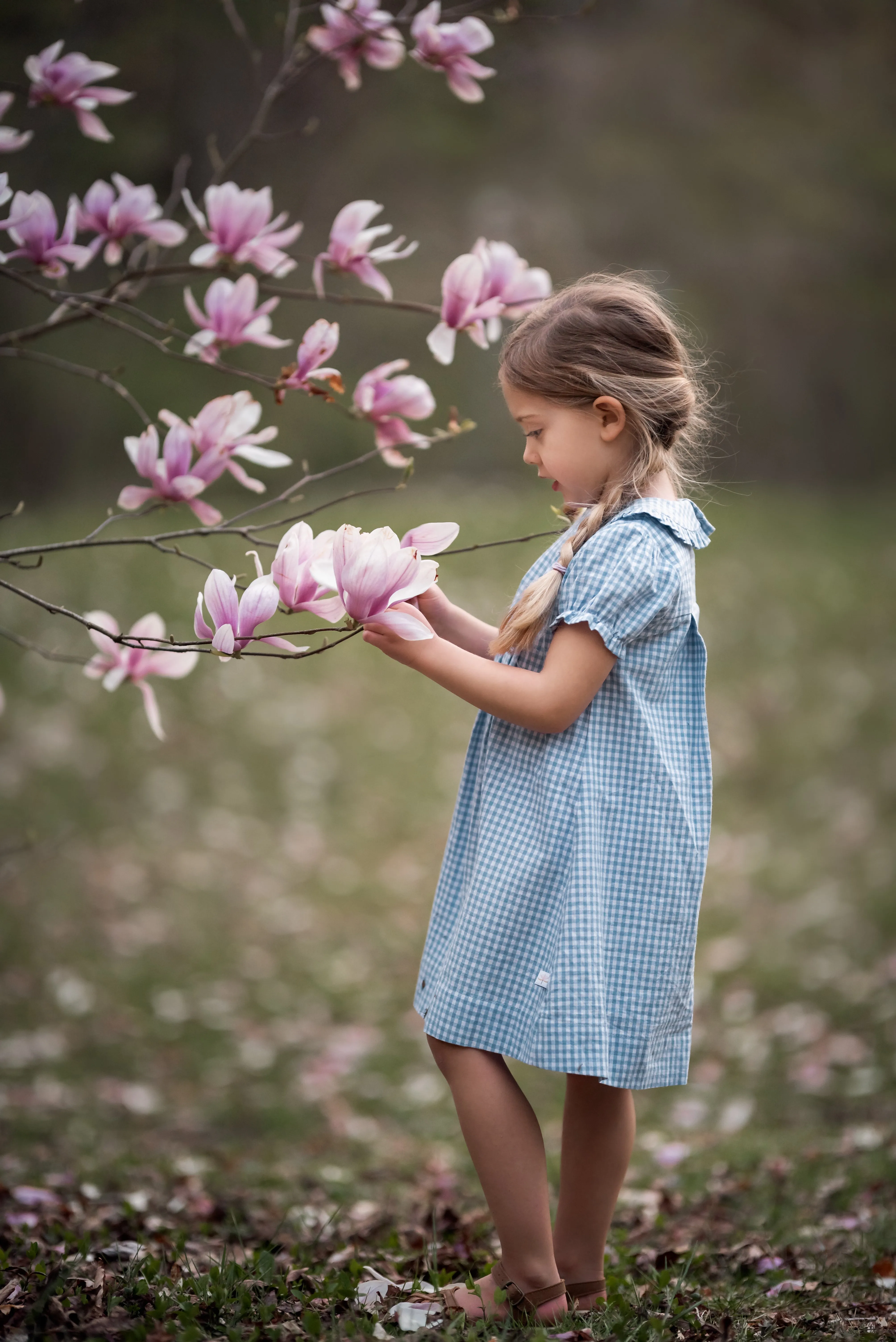 Bluebell Ruffle Collar Dress
