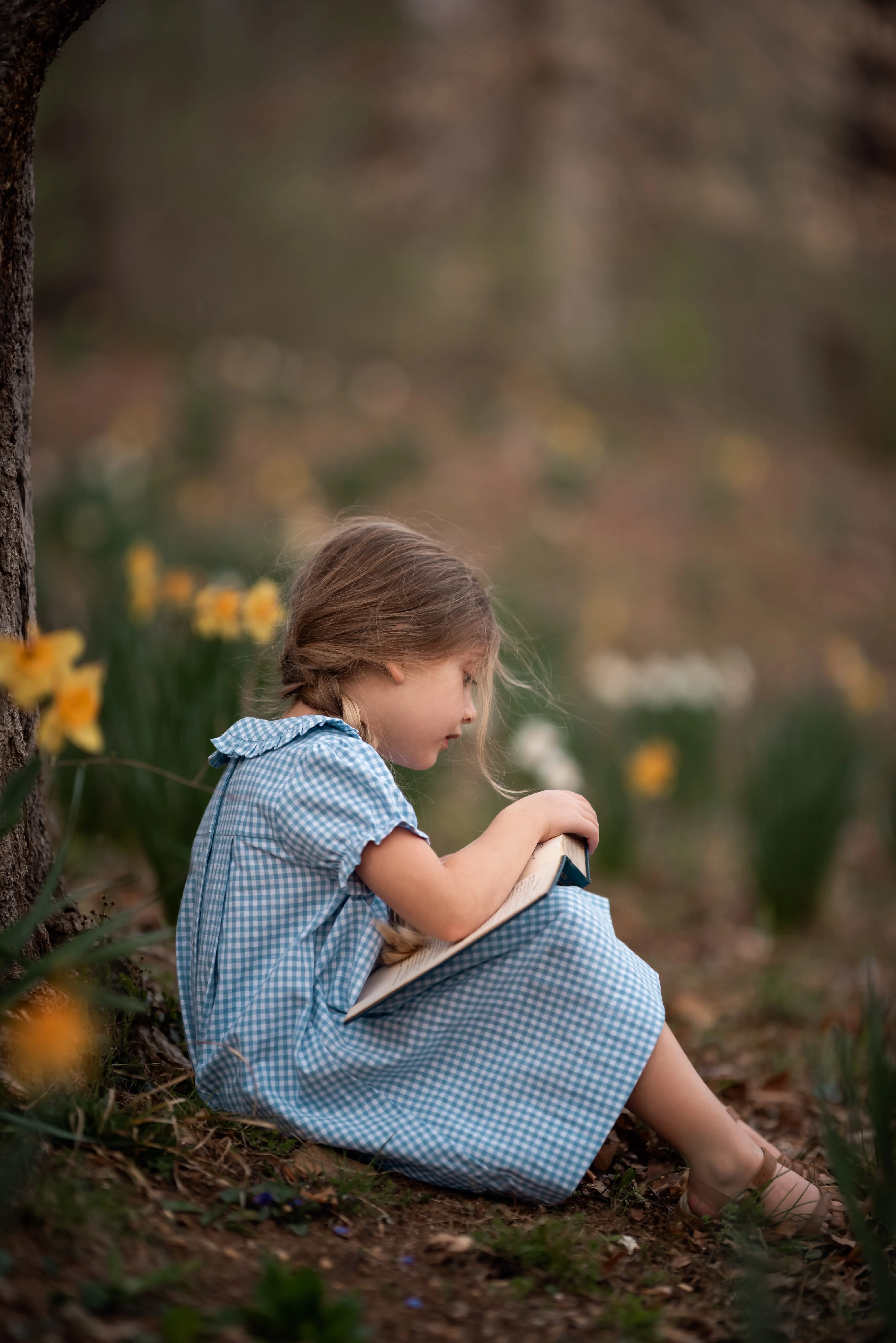 Bluebell Ruffle Collar Dress