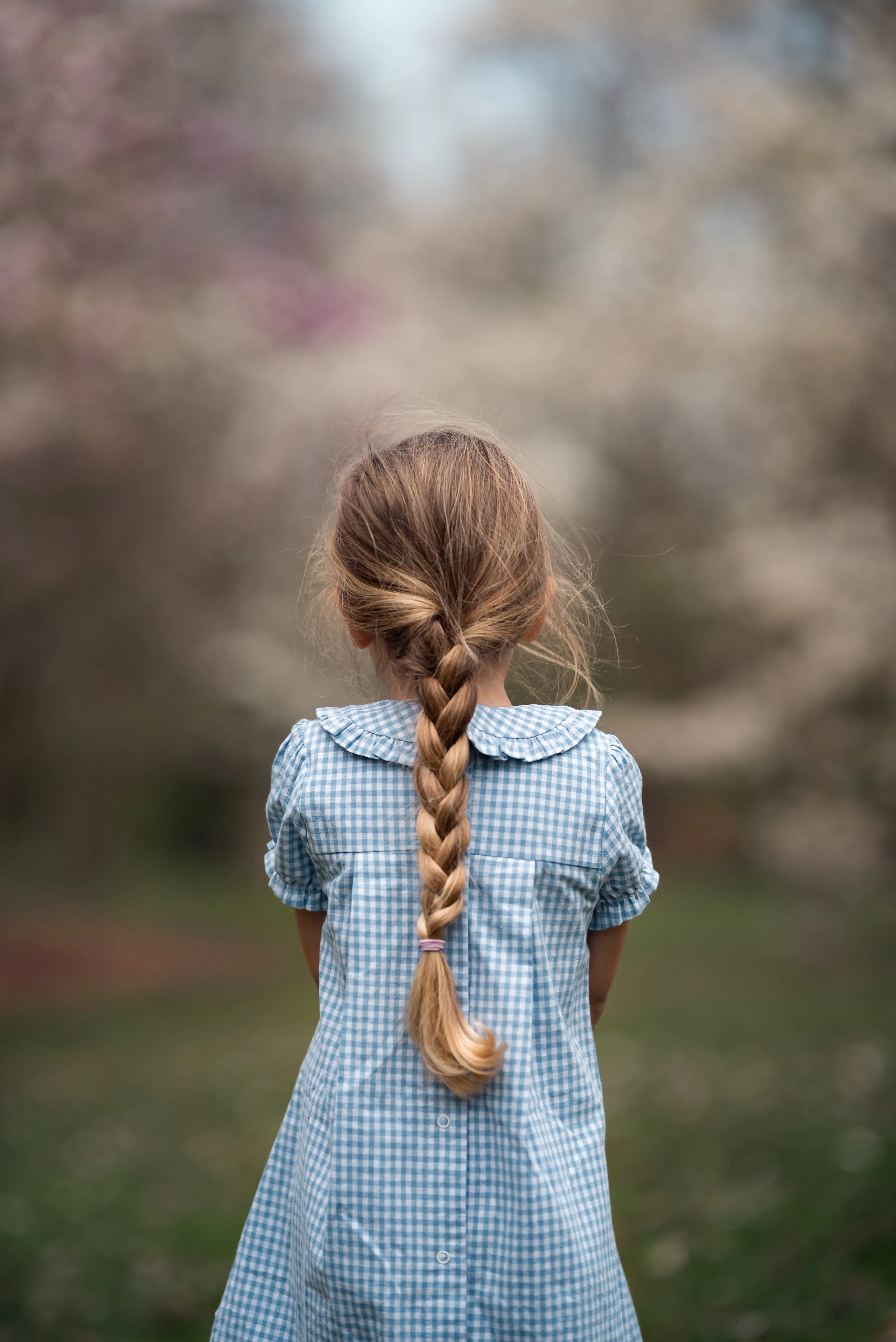 Bluebell Ruffle Collar Dress