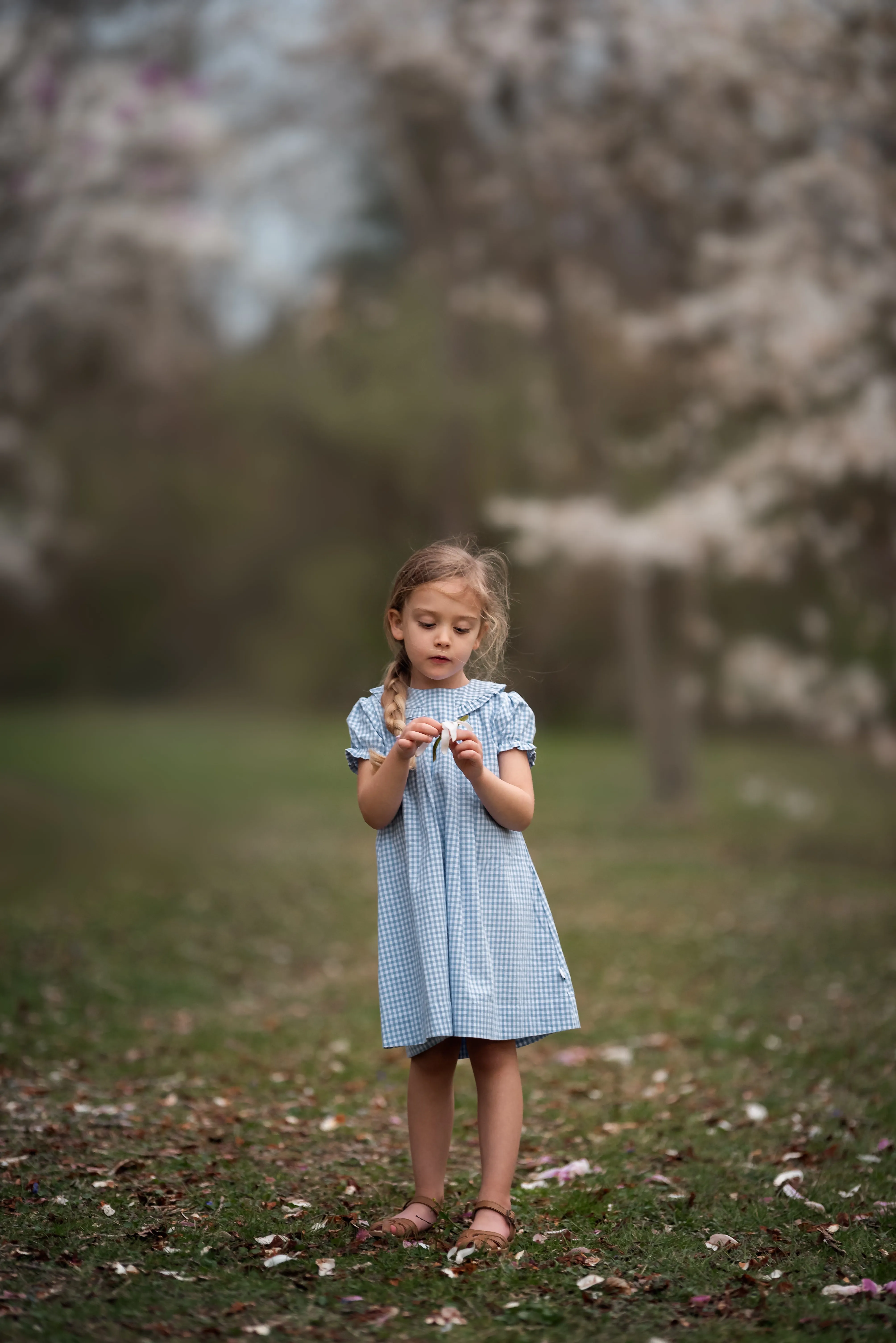 Bluebell Ruffle Collar Dress