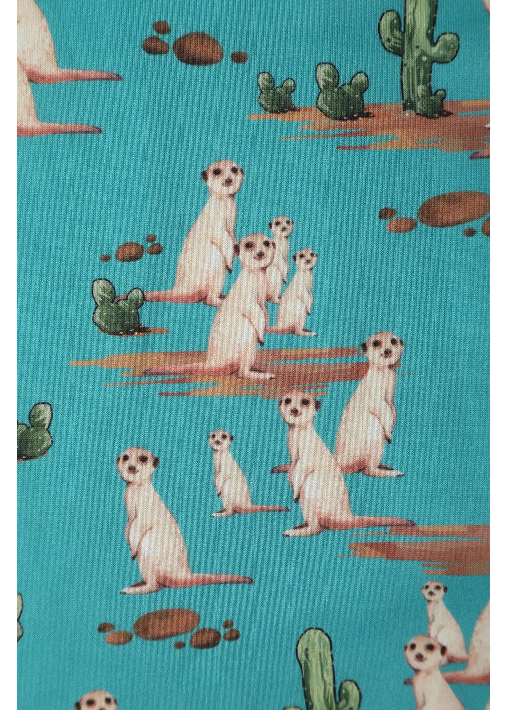 Dolly & Dotty Amanda Meerkat 50's Swing Dress Turquoise