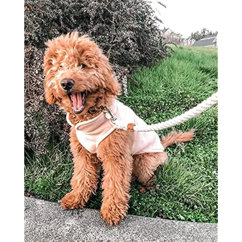 Fleece Vest Dog Jacket With O-Ring Leash