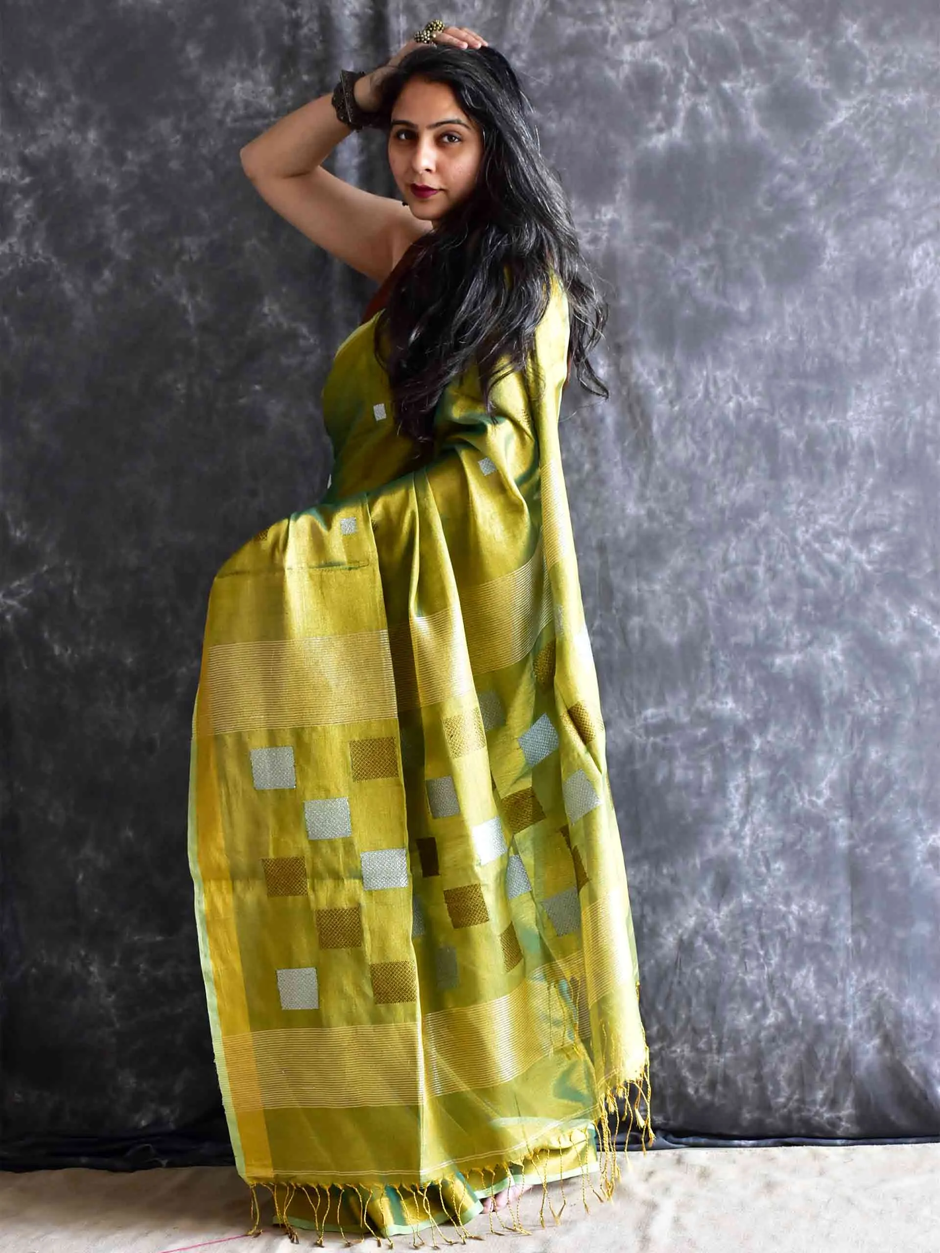 Rehbar - Linen Tissue Saree